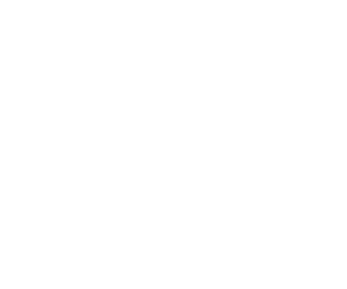 logo-cnr